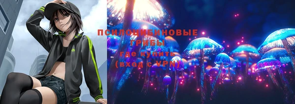 стафф Алексин