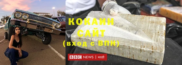 стафф Алексин