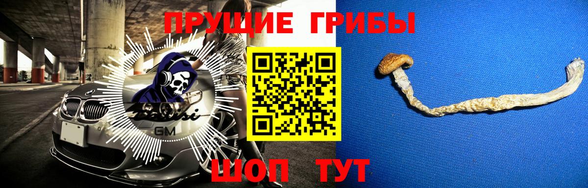 Галлюциногенные грибы мицелий Магадан